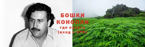 мдпв Инта