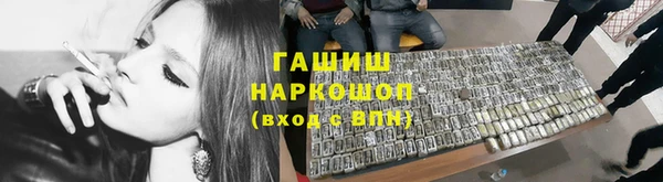 мдпв Инта