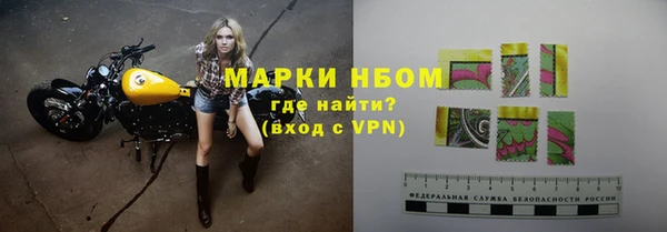 мдпв Инта