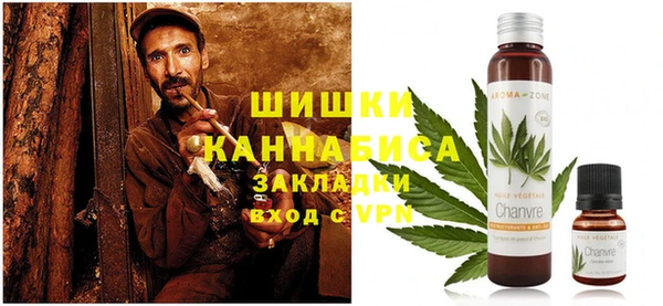 мдпв Инта