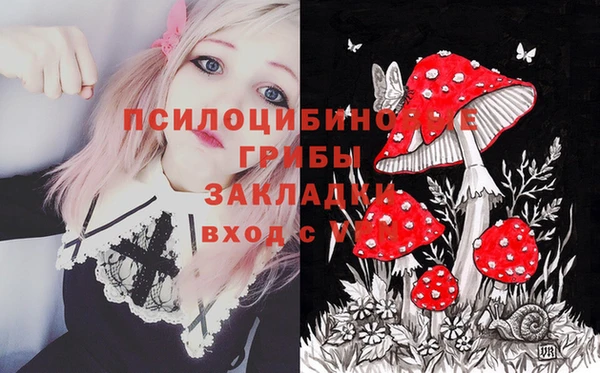 мдпв Инта