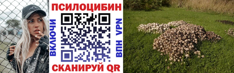 Купить закладки  Острогожск  Псилоцибиновые грибы мицелий 